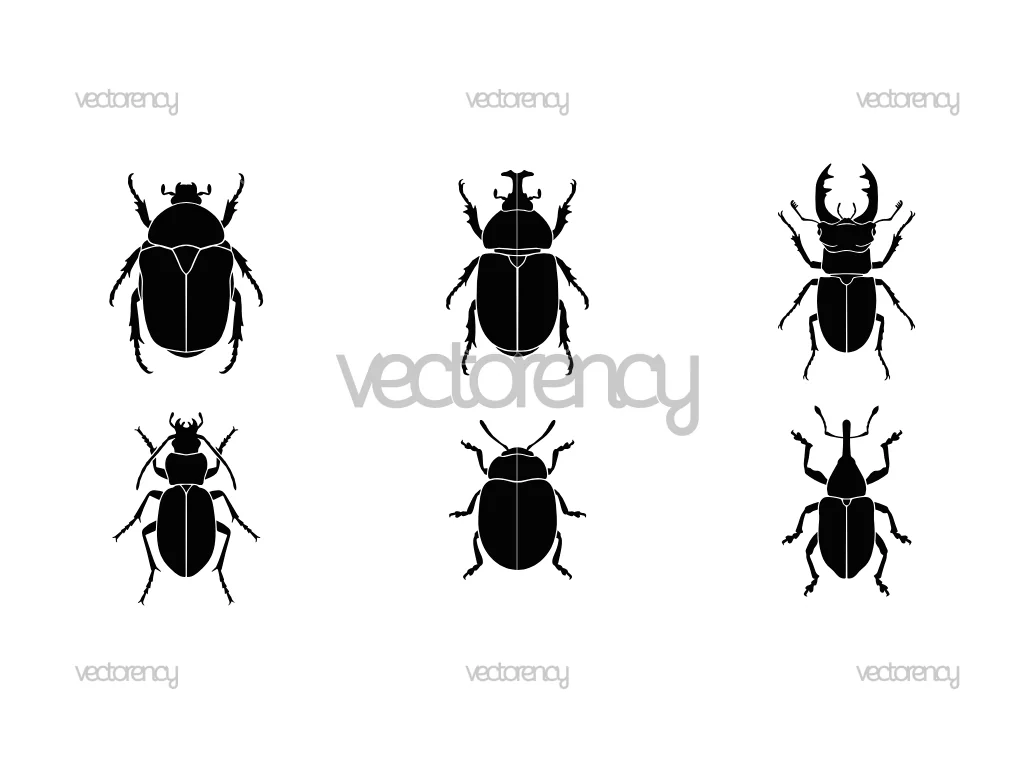 Bugs SVG, Beetles SVG