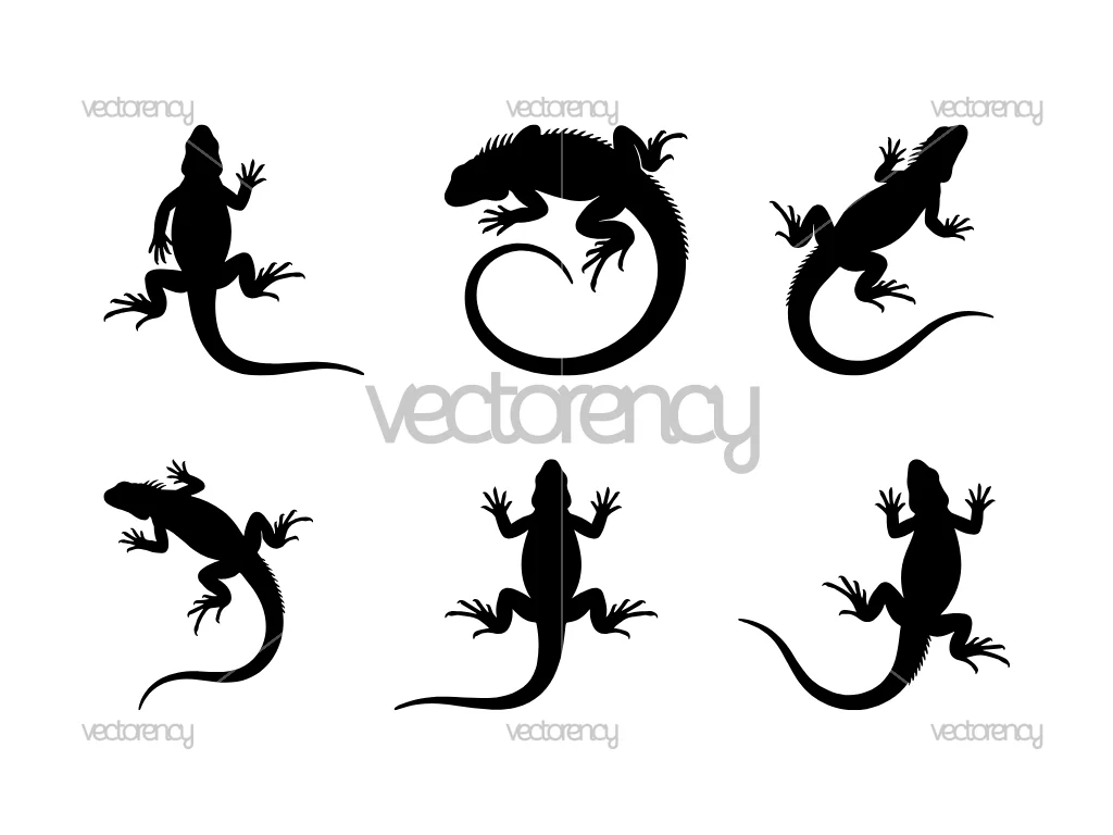 Iguana Silhouette SVG