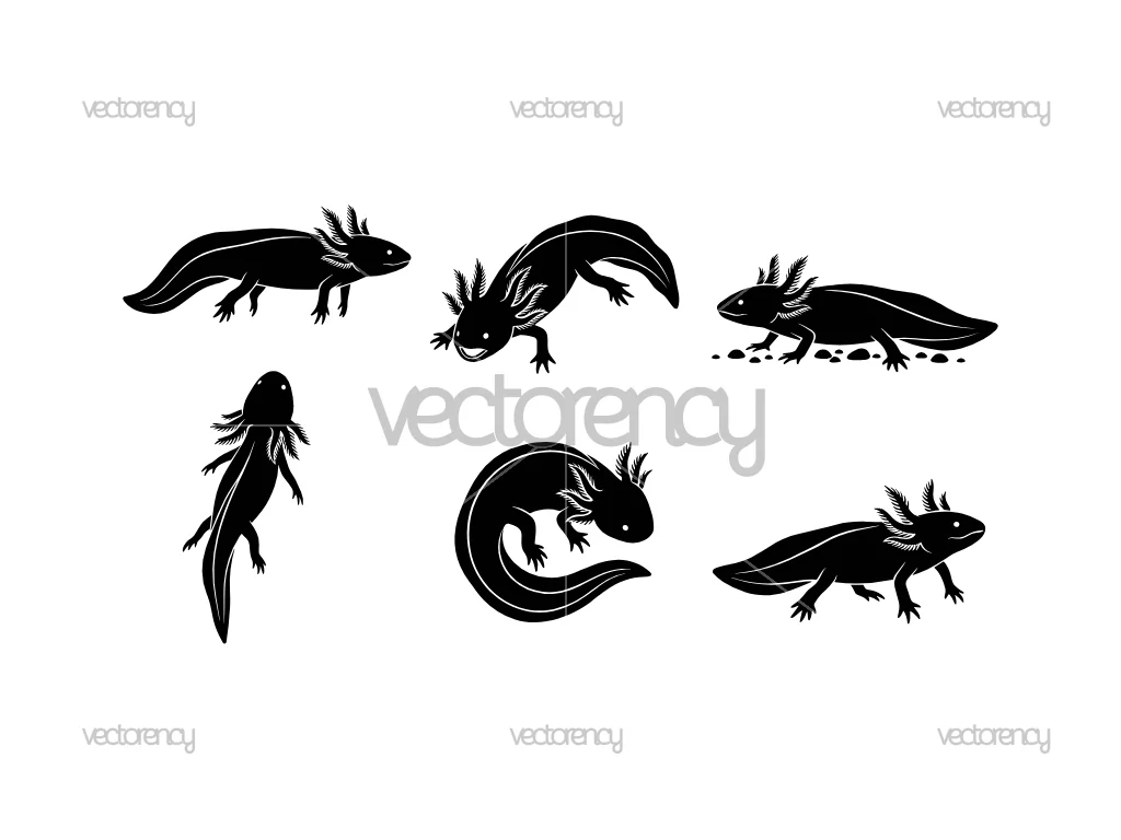 Axolotl SVG