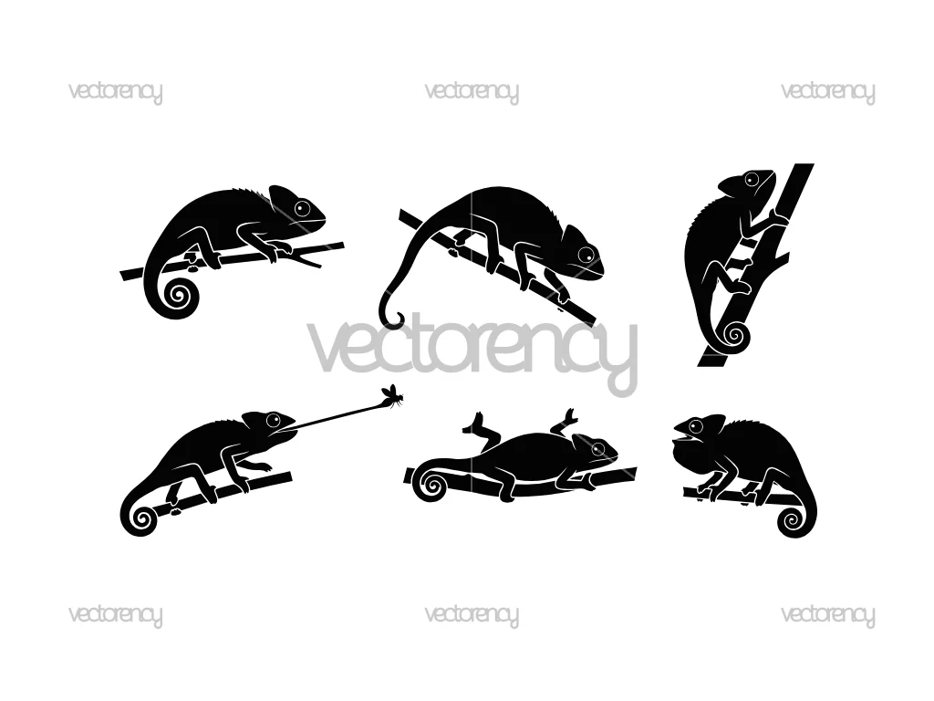 Chameleon Silhouette SVG
