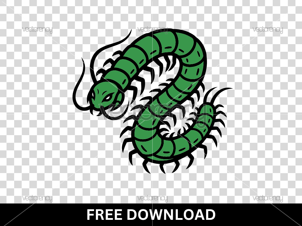 Green Centipede Illustration Free