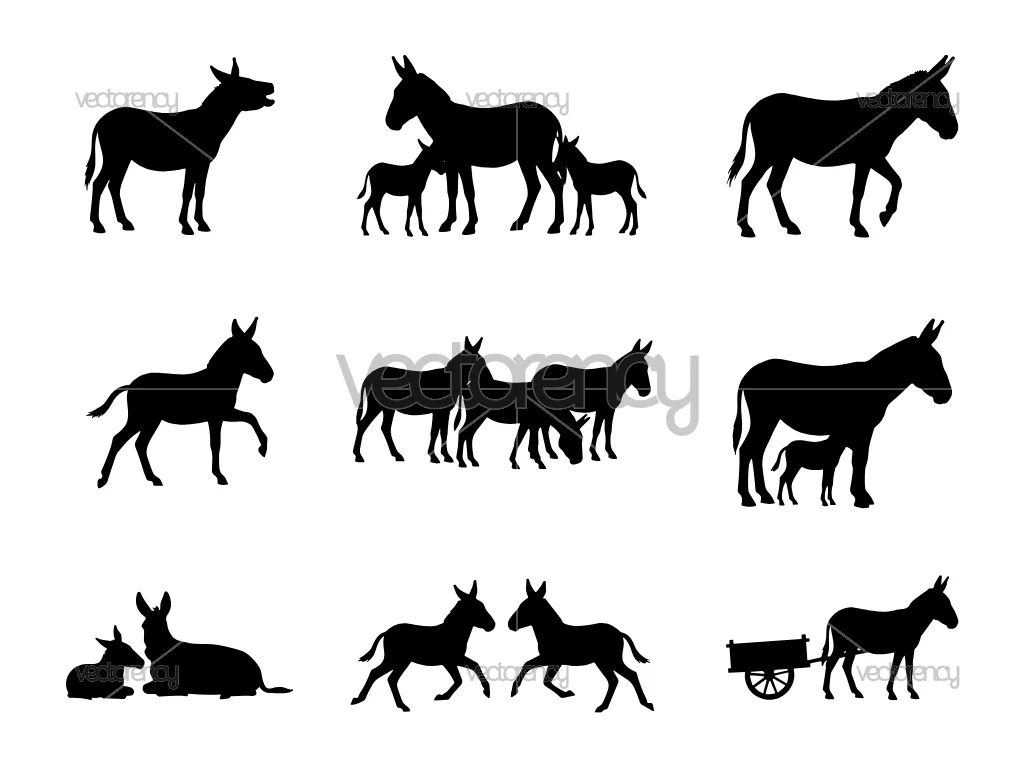 Donkey Silhouette SVG Set Bundle Vector