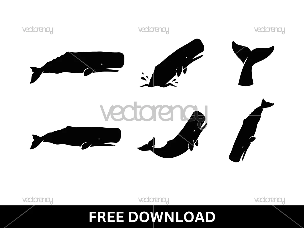 Sperm Whale SVG Vector Stock Free Download