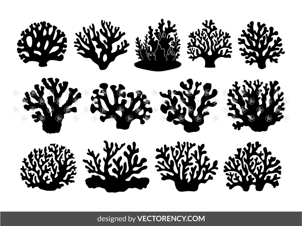 13 Coral Reefs Silhouette SVG, Sea Clipart, Cut Files | Vectorency