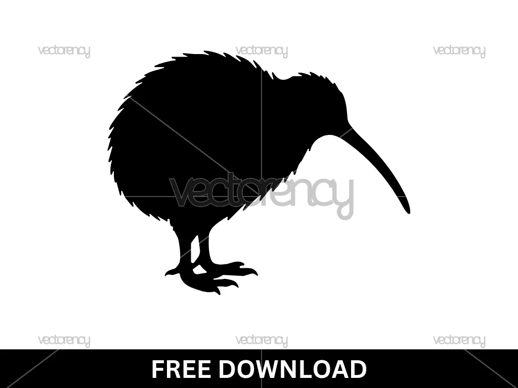 Free Kiwi Bird Vector