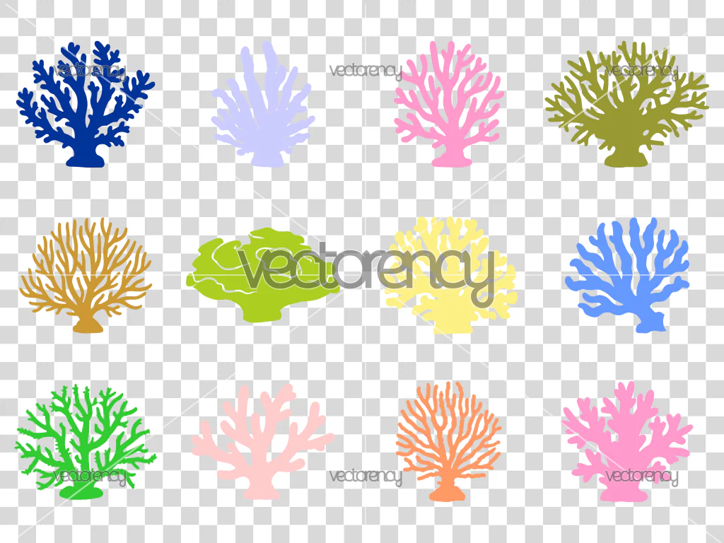 12 Corals SVG Cut Files Ocean