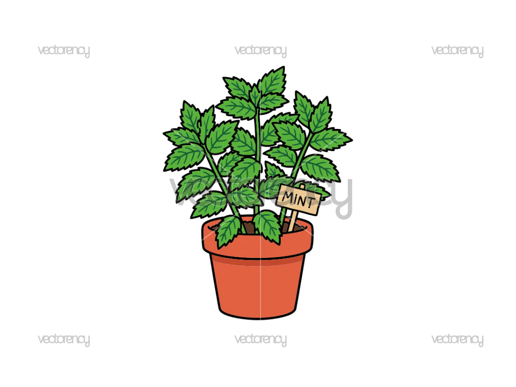 Mint Potted Plant Clipart SVG PNG Vector