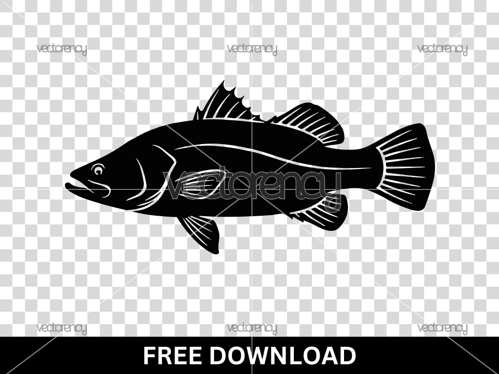 The Barramundi Fish Vector Art Design Free