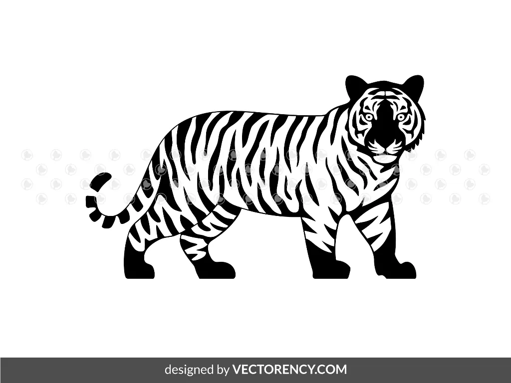 Simple Tiger Vector