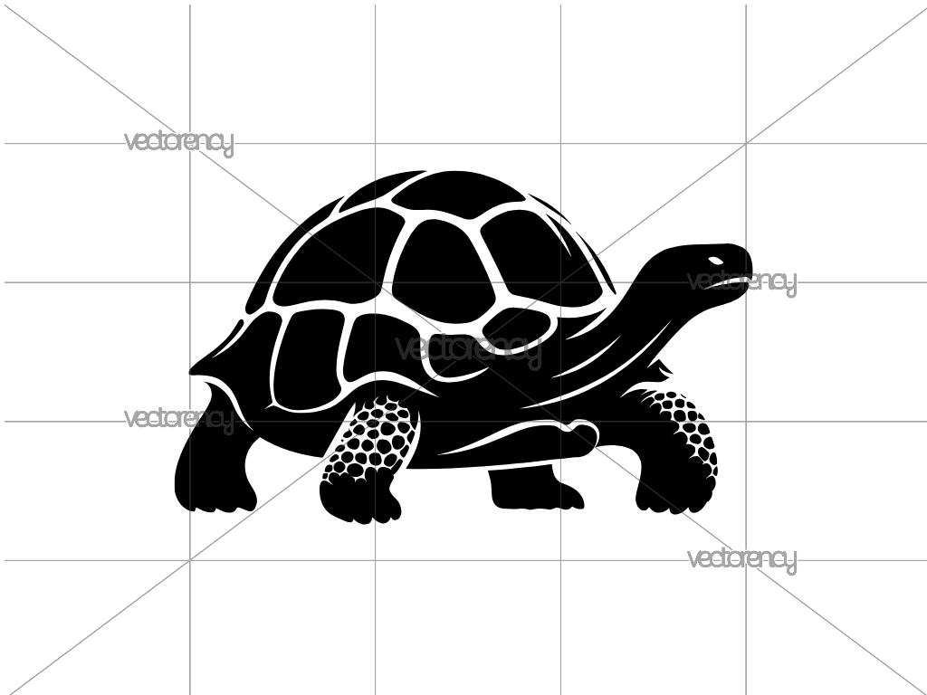 Galapagos Giant Tortoise SVG Vector