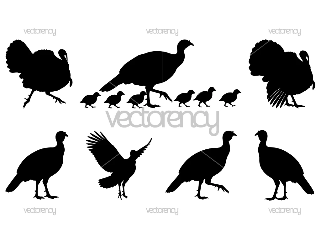 Turkey Silhouettes SVG Illustration for Cricut