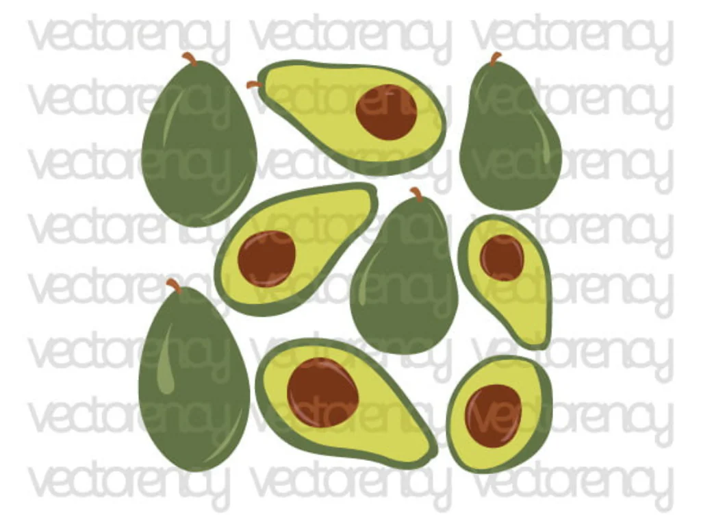 Avocado SVG Fruit Shape Avocado Clipart