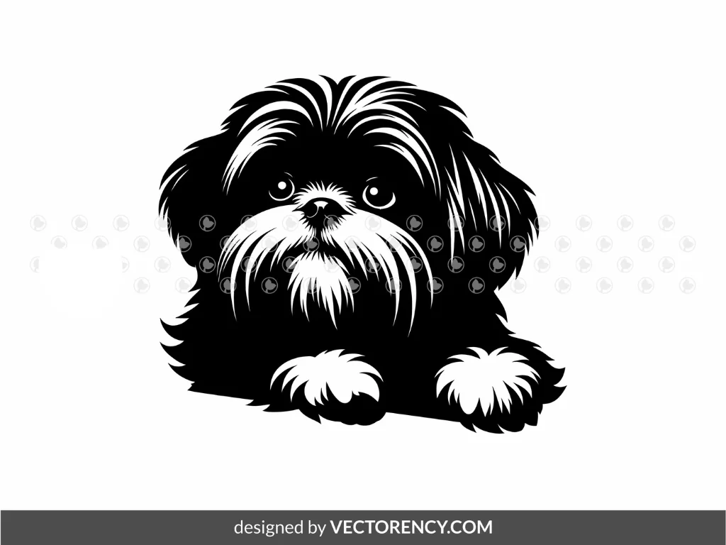 Shih Tzu SVG