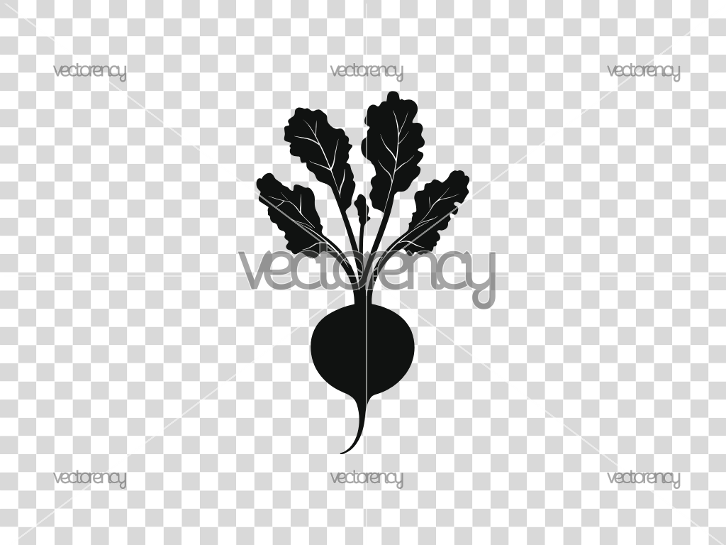 Turnip SVG Cricut
