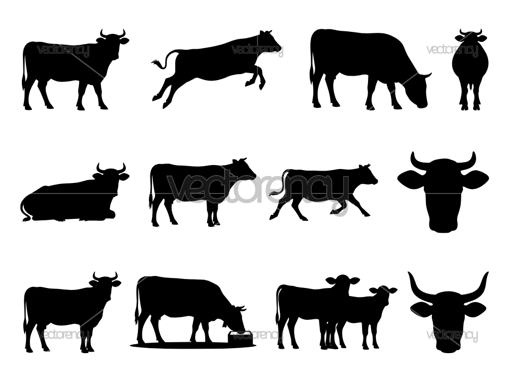 12 Cow Silhouettes SVG Cut Files