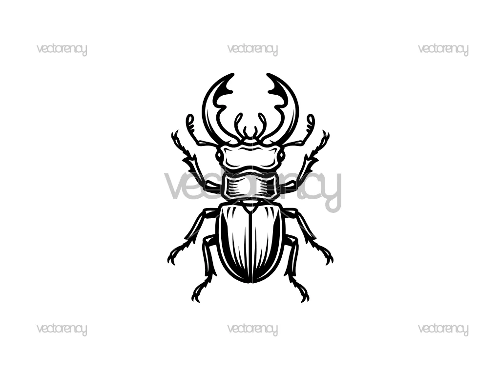 Stag Beetle SVG PNG EPS DXF