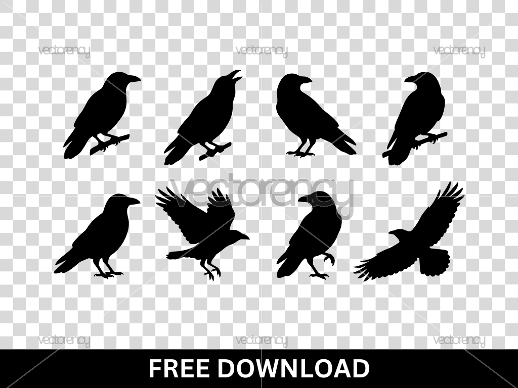 Cricut Ravens SVG Free