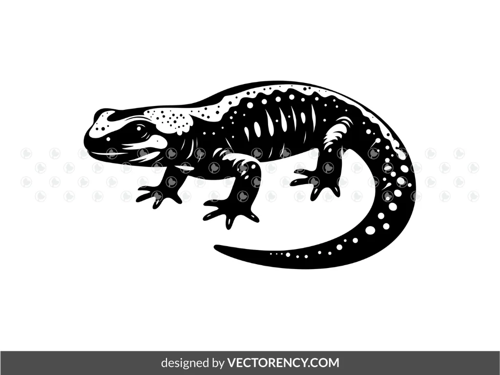 Salamander Vector SVG