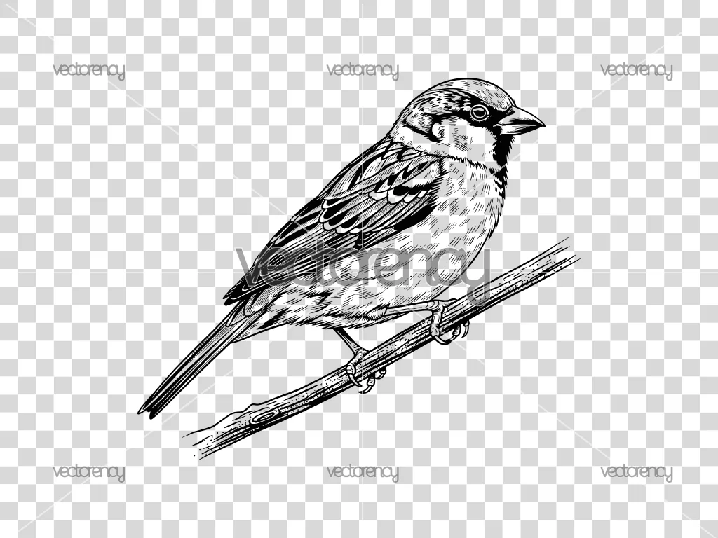 Sparrow Bird on Branch SVG