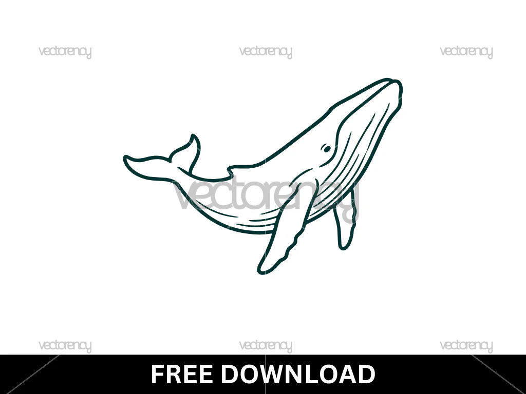 Free Whale Outline Vector SVG