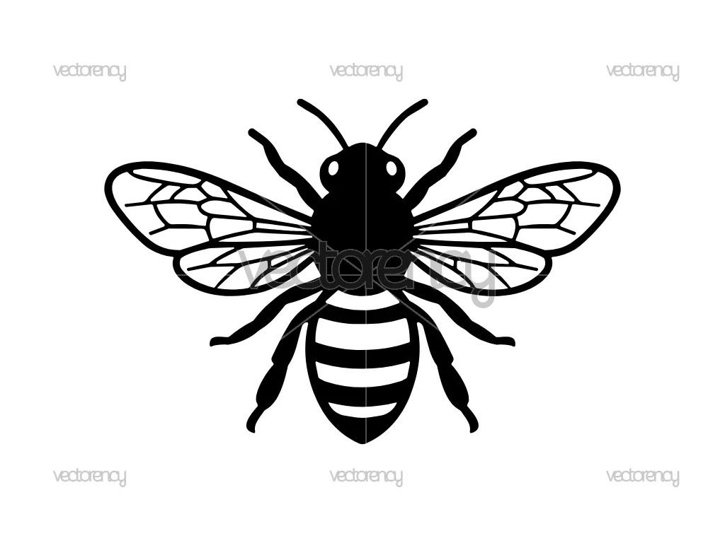 Honey Bee SVG Files for Cricut