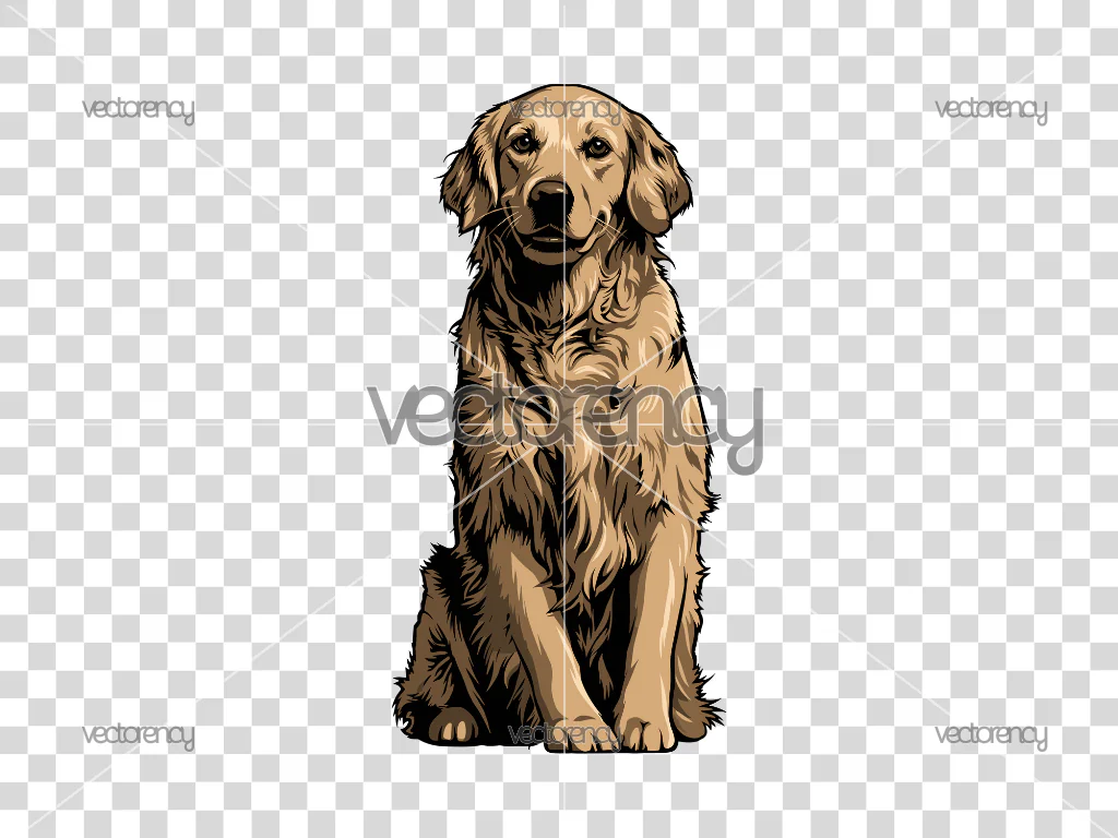 Labrador Retriever Cartoon Vector PNG HD Transparent Clipart