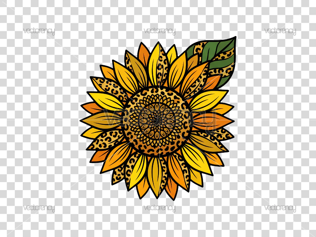 Leopard Sunflower Stemless Vector Clipart