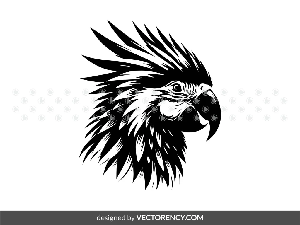 Parrot Head Vector