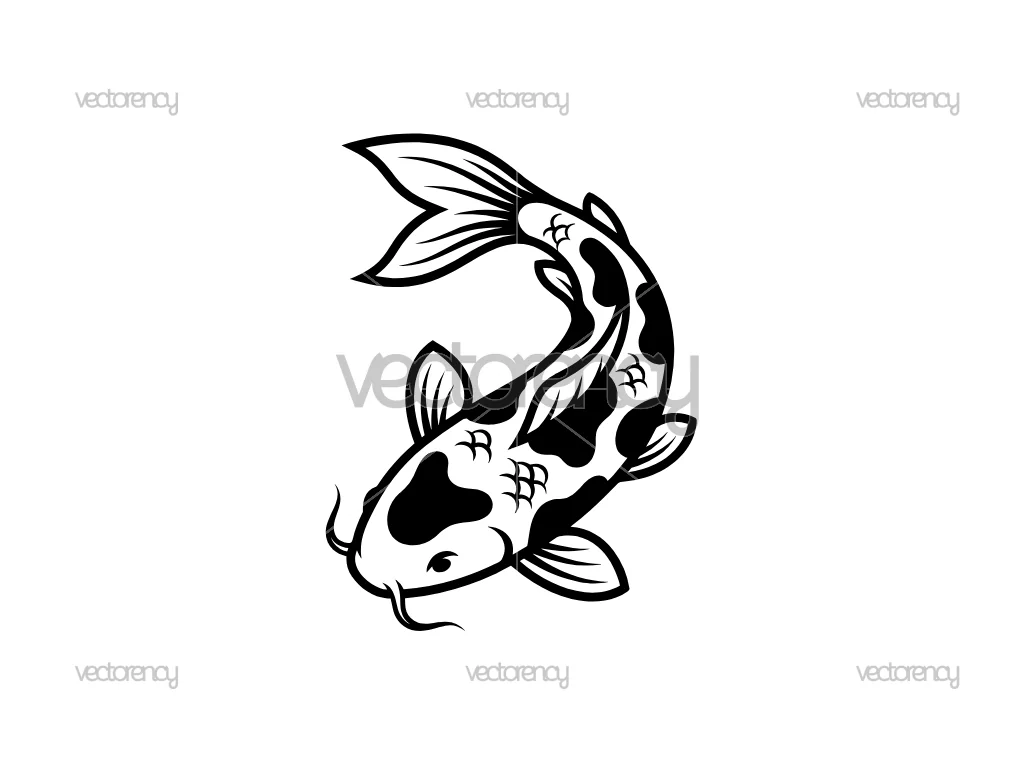 Koi Fish Premium Vector SVG PNG