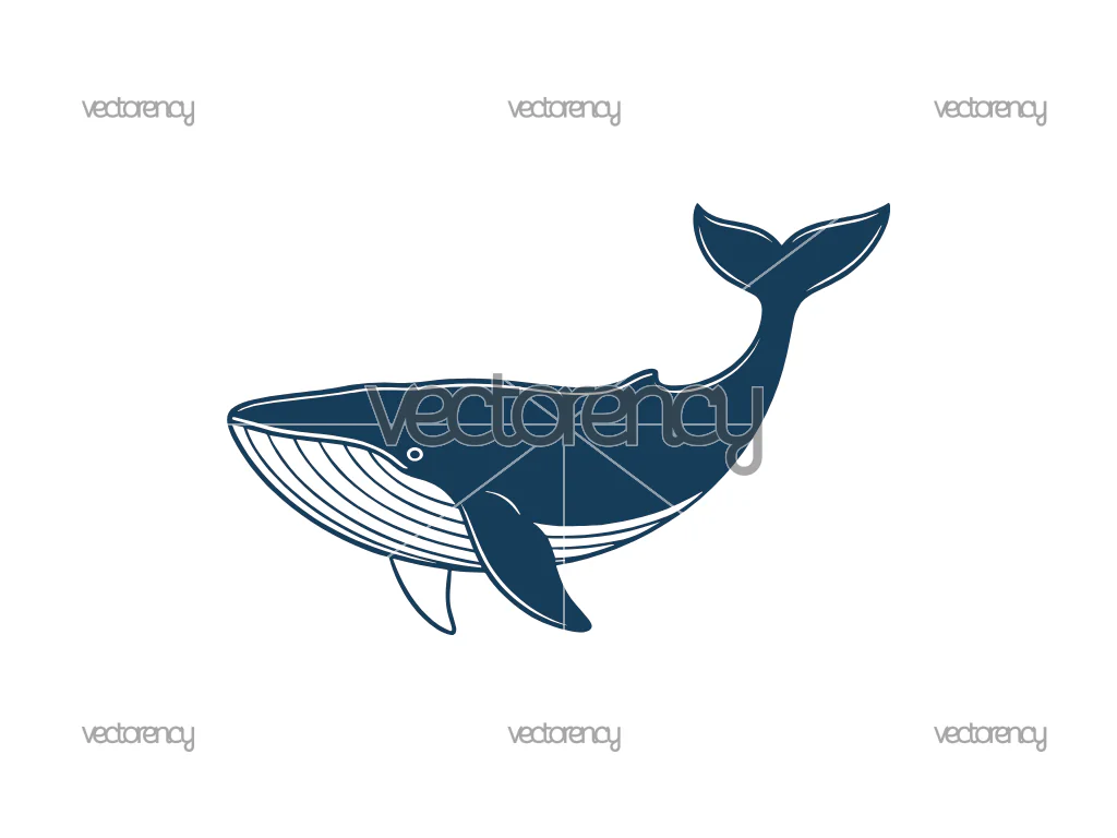 Whale Cut File SVG