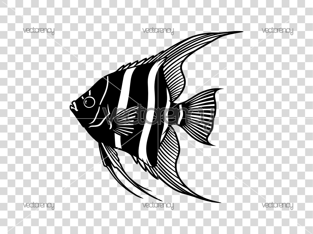 Freshwater Angelfish SVG Cut File Black and White PNG Vector