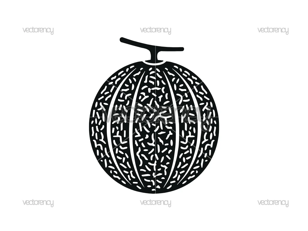 Melon Clipart SVG