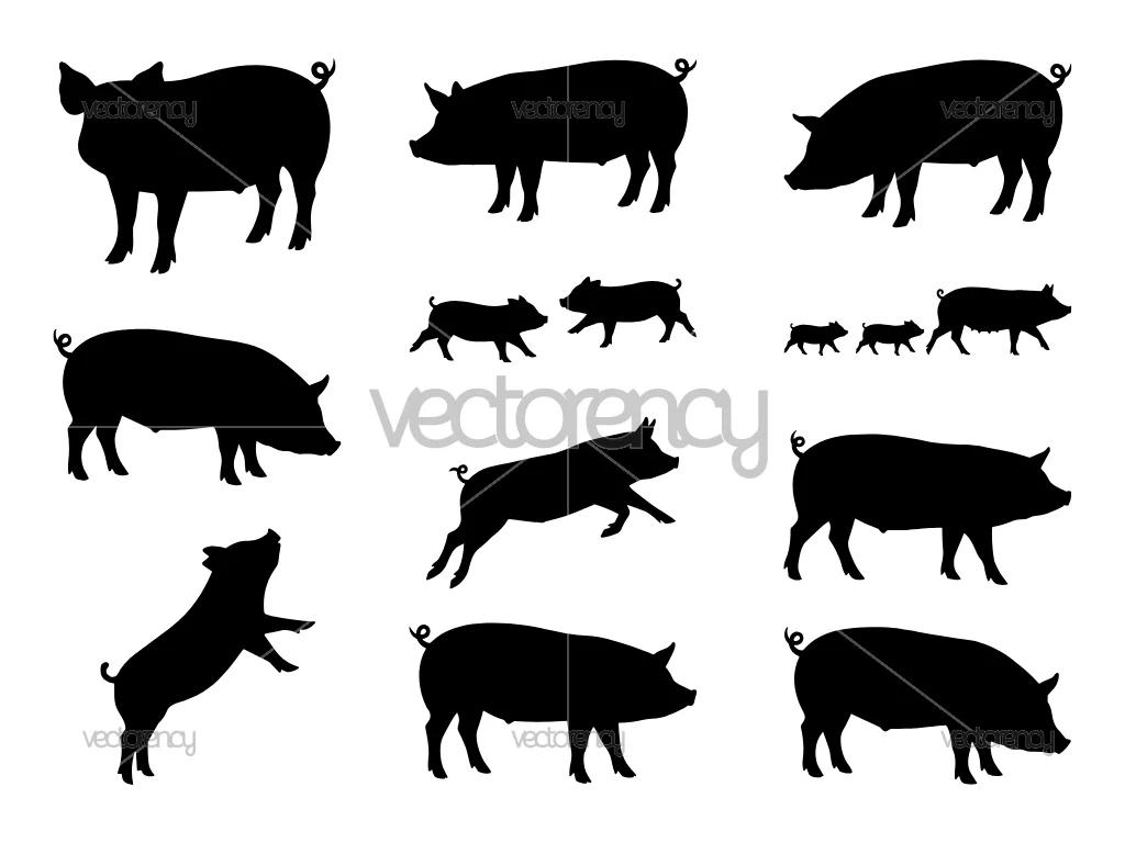 Pig Silhouette Vector SVG Illustration Set