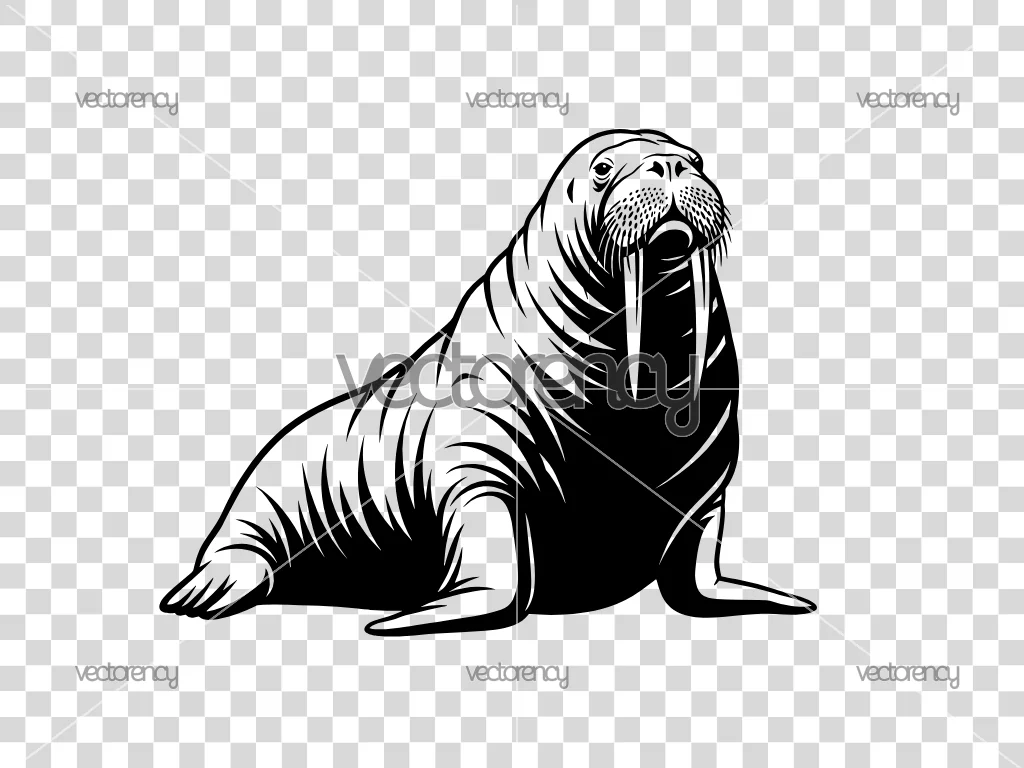 Walrus SVG Cut Files