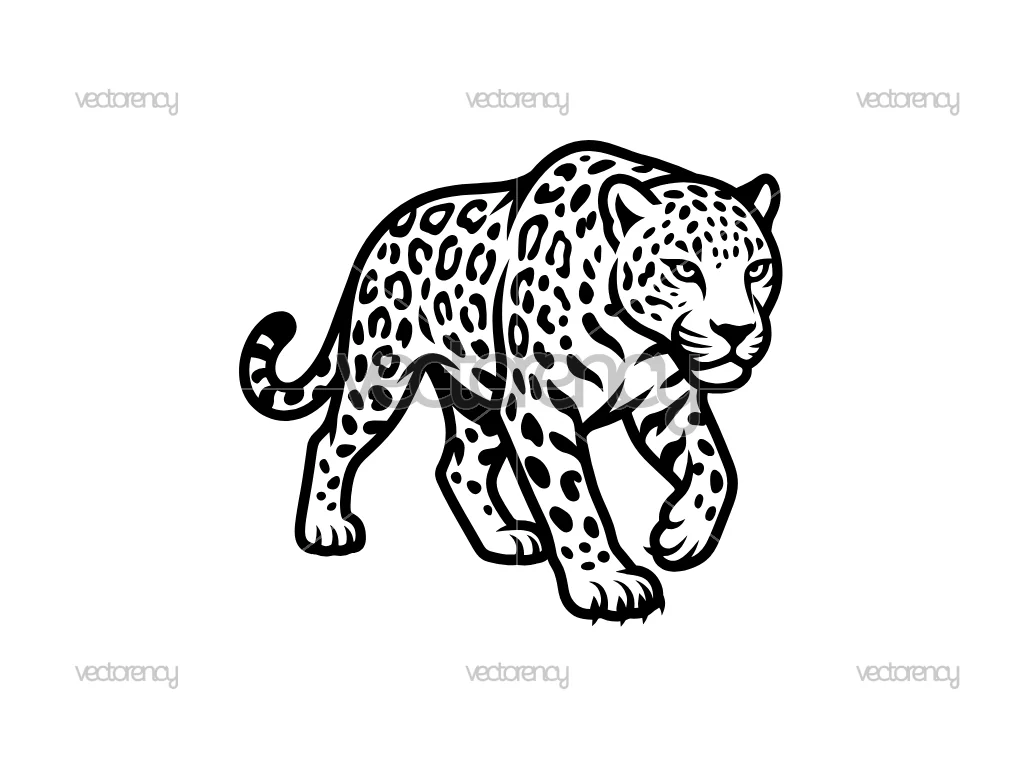 Safari Art SVG Leopard Vector Animal Wild