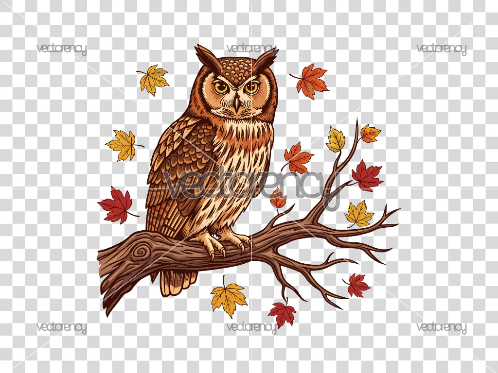 Owl On a Branch Clipart Autumn Fall Download