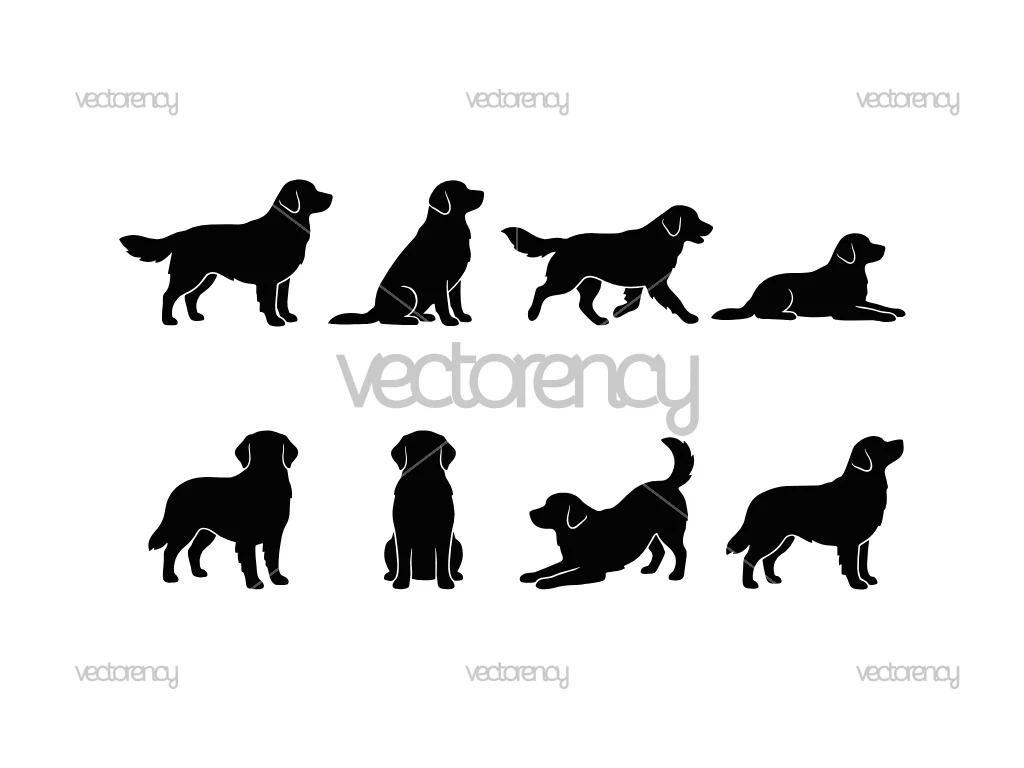 Golden Retriever Dog Silhouette