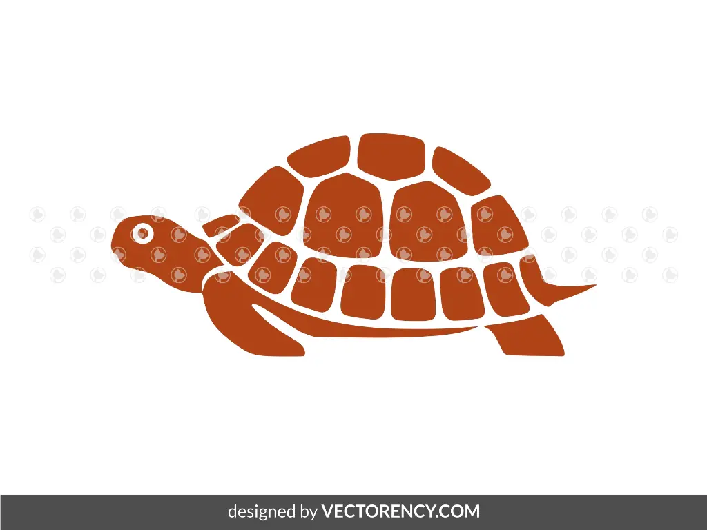 Tortoise SVG