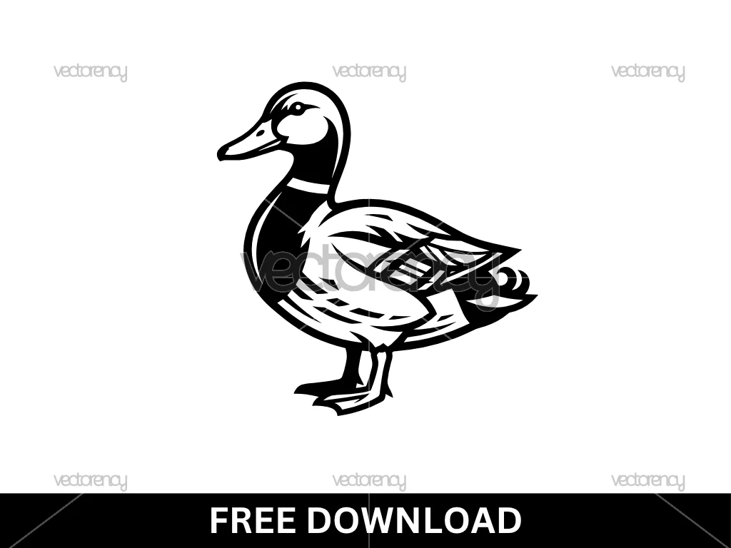 Mallard Duck Free SVG