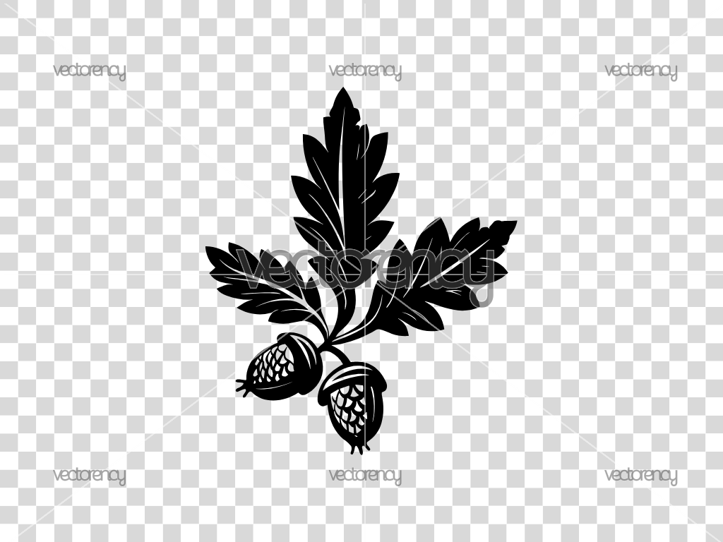 Hawthorn SVG Vector