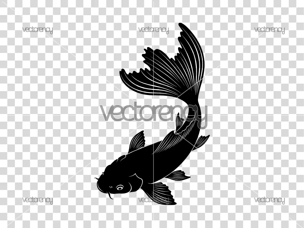 Beautiful Koi Fish Silhouette SVG Vector