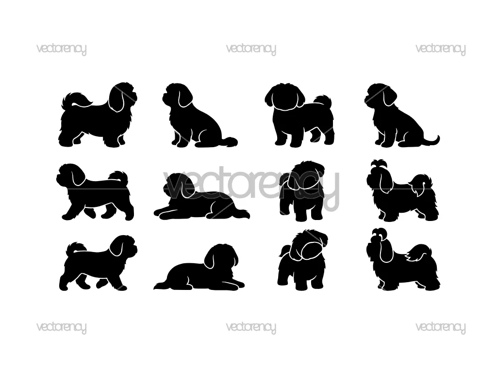 Shih Tzu Dog Vector Silhouette SVG