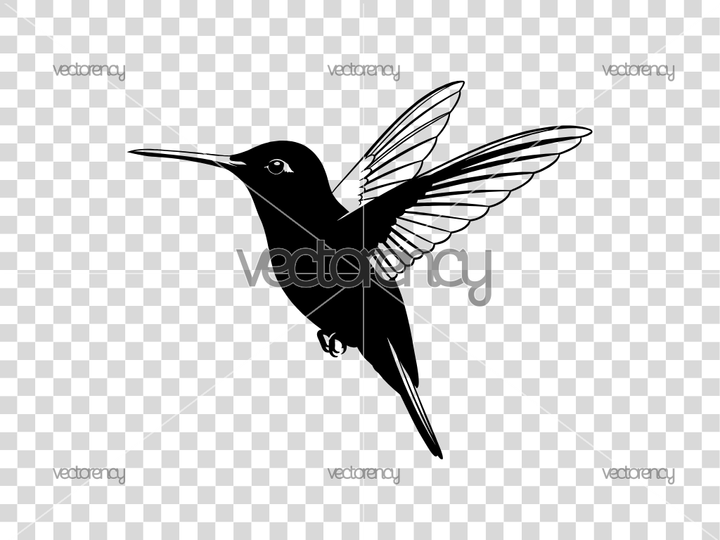 Hummingbird SVG Cricut