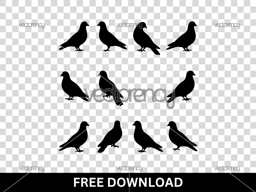 Pigeon Silhouette Flat Vector