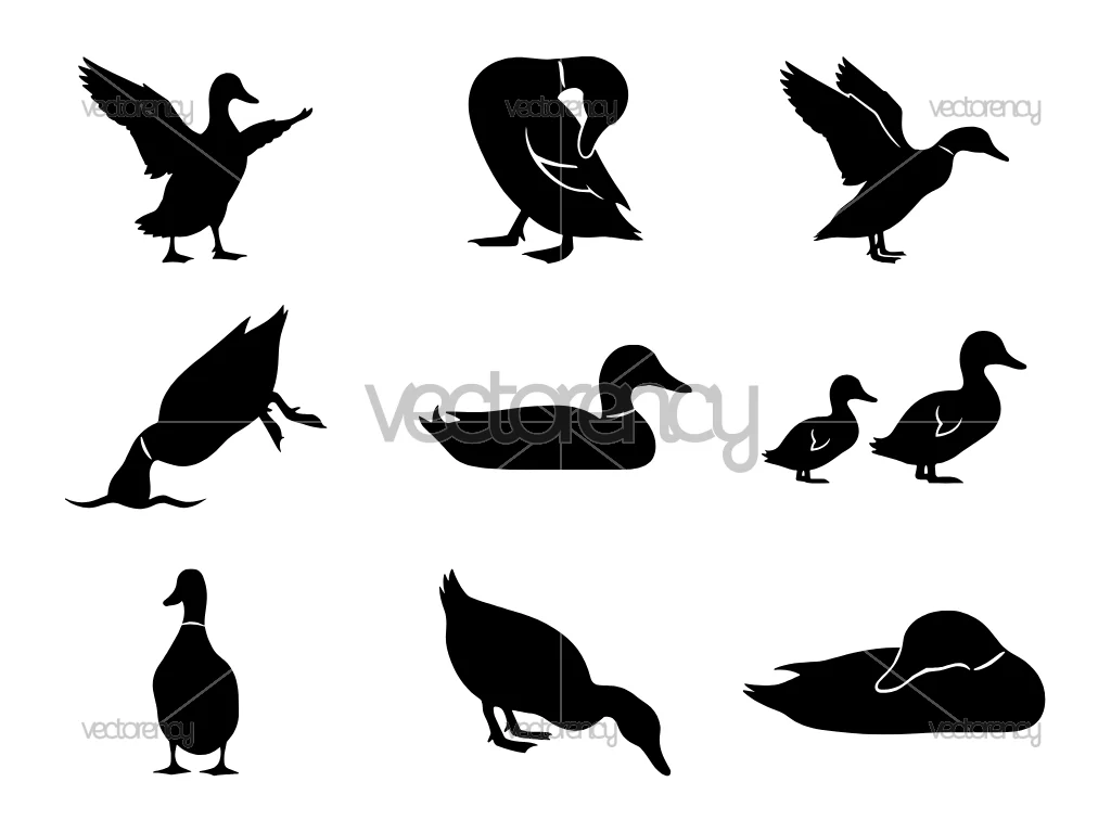 Duck Silhouettes SVG Cut Files Download Bundle