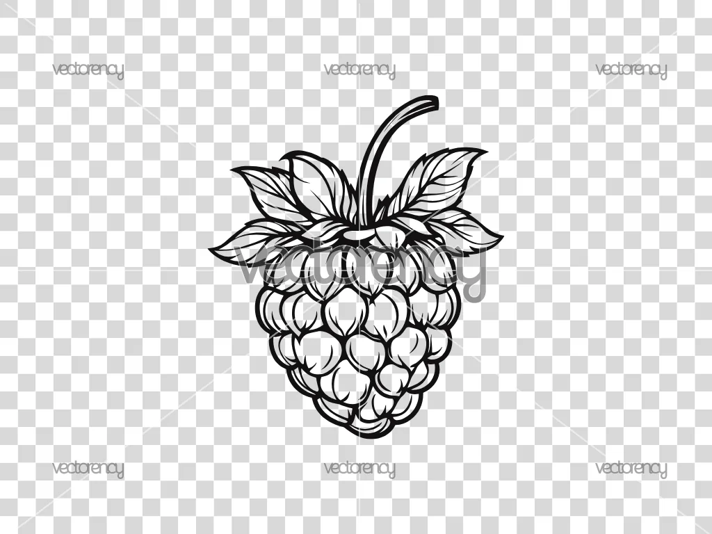 Raspberry SVG Cricut