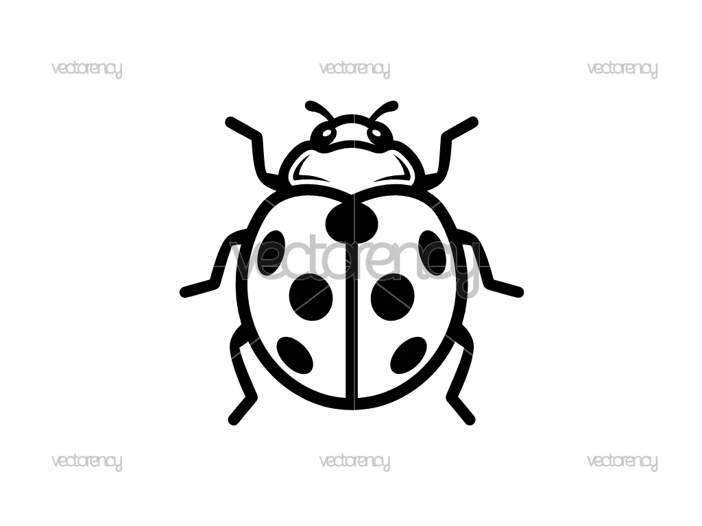 Insect Ladybug SVG PNG EPS DXF