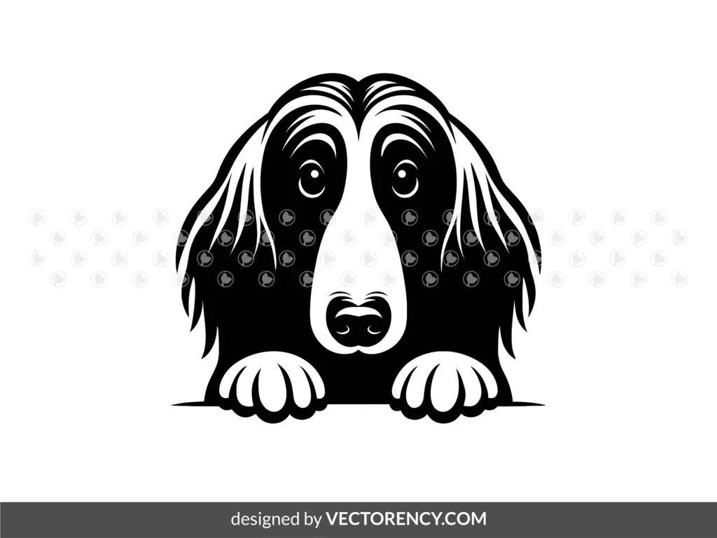 Peeking Afghan Hound Dog SVG