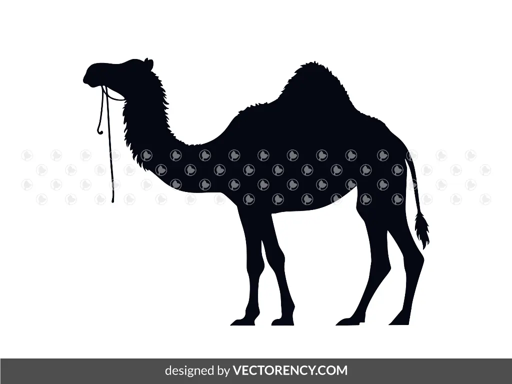 Illustration Camel Clipart Silhouette