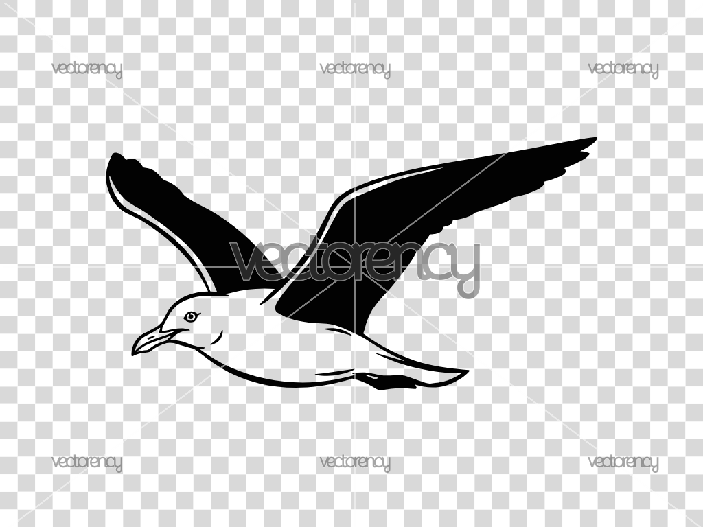 Seagull SVG Cut File